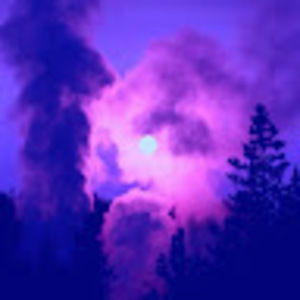 Meet your Posher, Camille